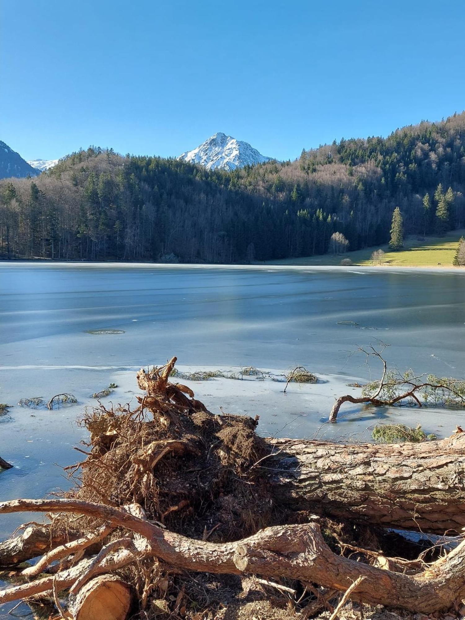 Alpapart Hornberg Höfen Екстериор снимка
